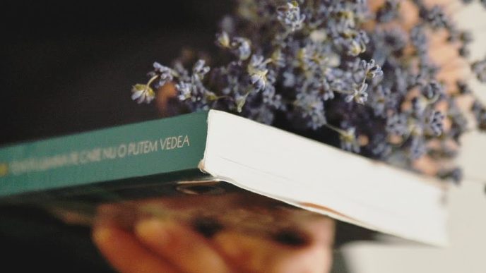 CUM SĂ TE RECONECTEZI CU ISTORIA DACĂ NU AI FOST FAN ÎN ȘCOALĂ - BIBLIOTECA SINDERELEI 4