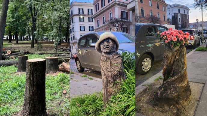 Explicația directorului SGU Ploiești în legătura cu arborii uscați și doborâți: “Vor fi transformați în artă urbană” - FOTO 8 arbori uscați, doborâre controlată, Dragoș Machițescu, director SGU Ploiești, artă urbană, Ploiești, Colegiul de Artă, Carmen Sylva Ploiești, cover