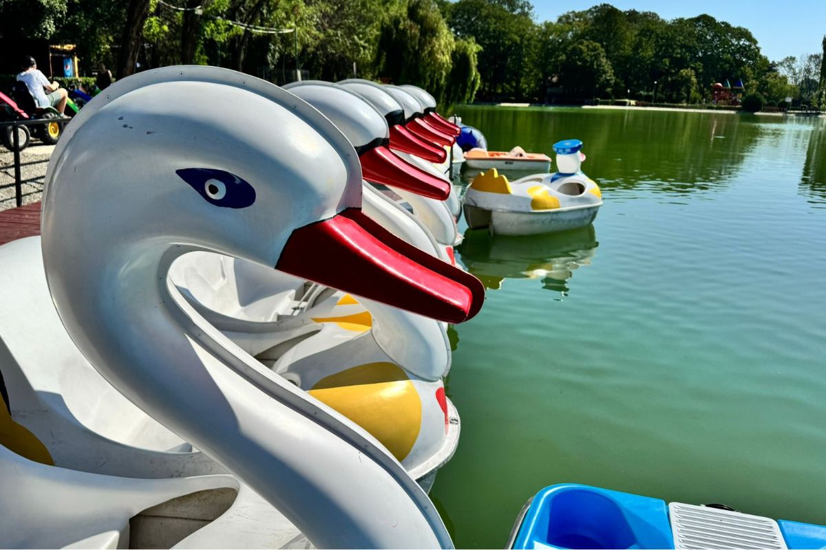 Top 6 activități de încercat în parcul de la Sala Sporturilor din Ploiești 3 Top 6 activități de încercat în parcul de la Sala Sporturilor din Ploiești 1
