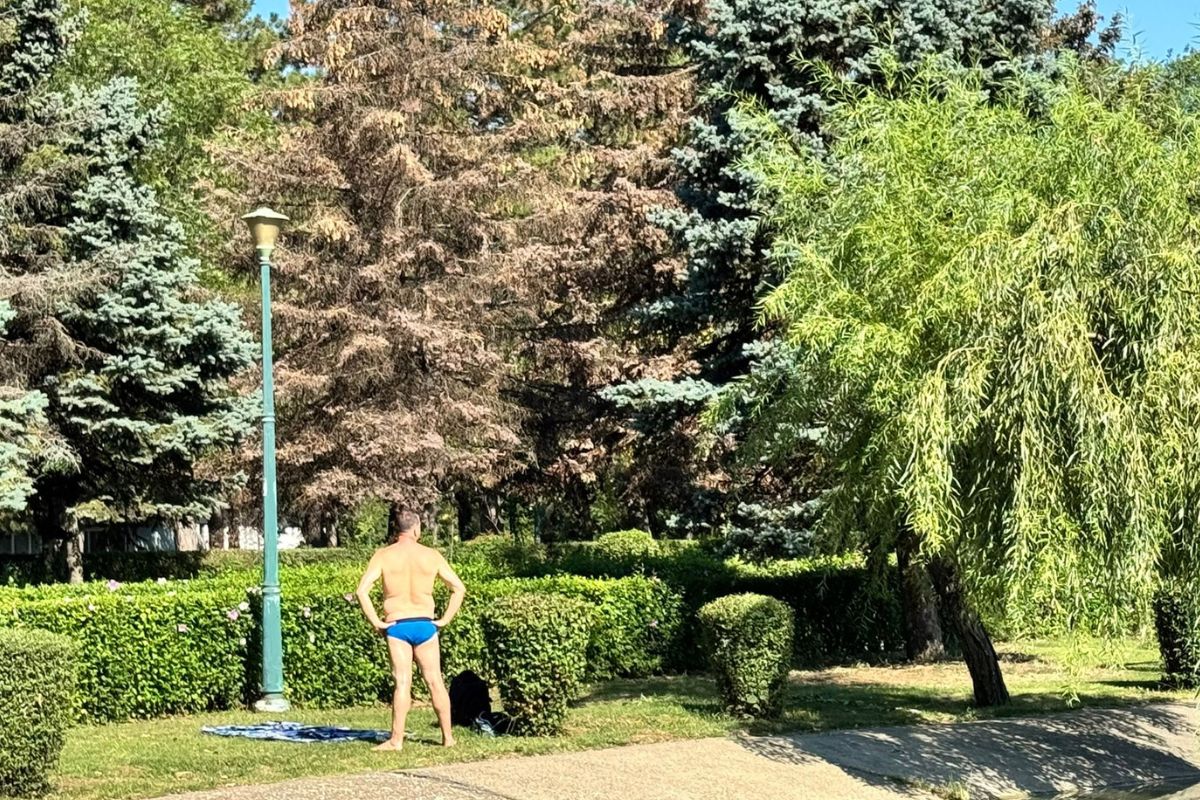 Top 6 activități de încercat în parcul de la Sala Sporturilor din Ploiești 8 La plajă, în parc, la Sala Sporturilor din Ploiești.