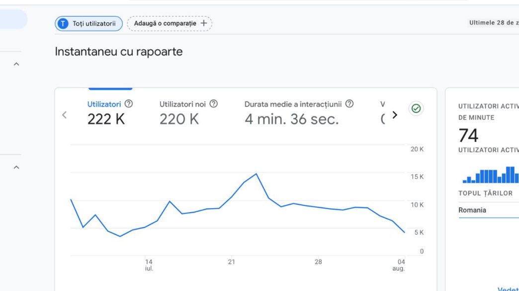 trafic, Generația lui John, Google Analytics, 28 zile, iulie - august 2024