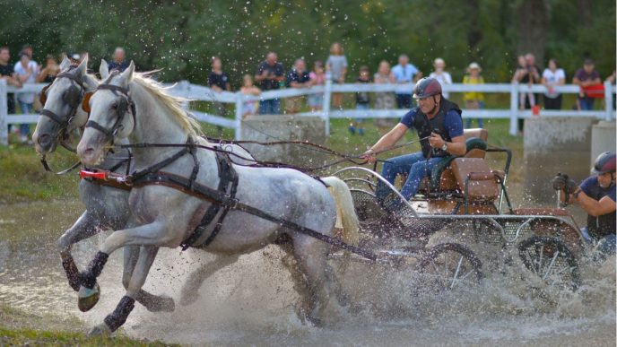 Karpatia Horse Show, 2024, ediția 9, concurs complet internațional, regal hipic, Domeniul Cantacuzino, Florești, Prahova, bilete si abonamente, cover