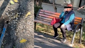 coji de semințe, video, face mizerie, dialog, reportaj, Ploiești, strada Praga, sparge semințe