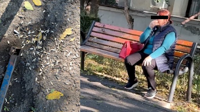 coji de semințe, video, face mizerie, dialog, reportaj, Ploiești, strada Praga, sparge semințe