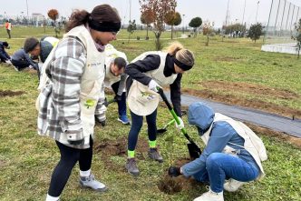Adoptă un copac, plantare copaci, Asociația Viitor Plus, 2500 copaci, Parcul Municipal Ploiești Vest, cum se plantează un copac