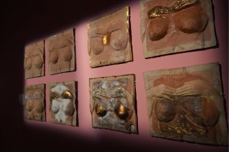 Sâni, Art Safari, expoziție, instoria sânilor, sâni românești, expoziție București, mulaje sâni