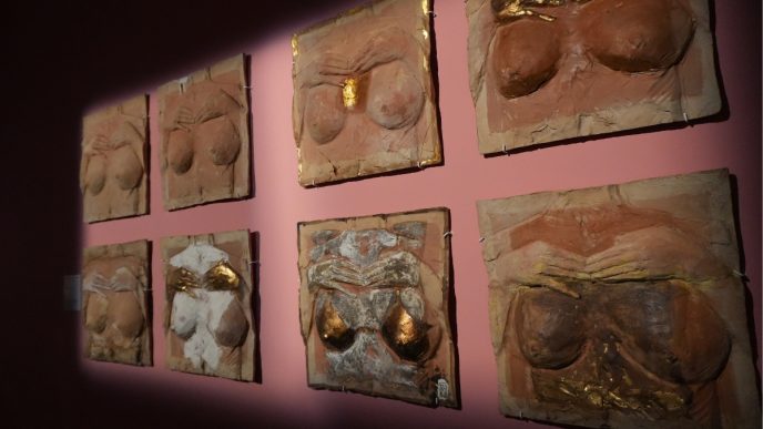 Sâni, Art Safari, expoziție, instoria sânilor, sâni românești, expoziție București, mulaje sâni