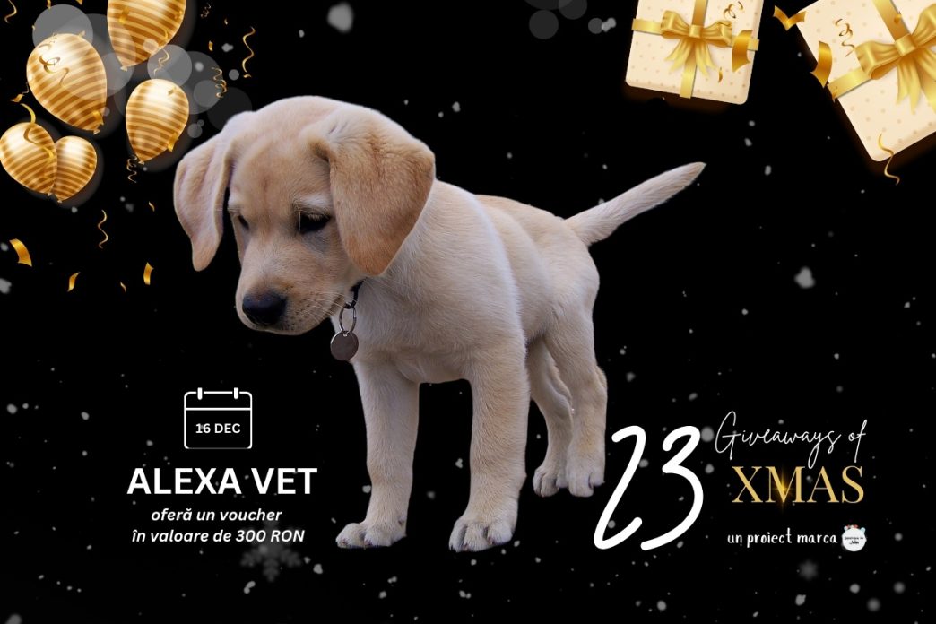 Servicii în valoare de 300 RON la cabinetul veterinar ALEXA VET din Ploiești (16 decembrie) 2 Alexa Vet, giveaway, veterinar Ploiești, voucher, 300 lei servicii, 16 dec