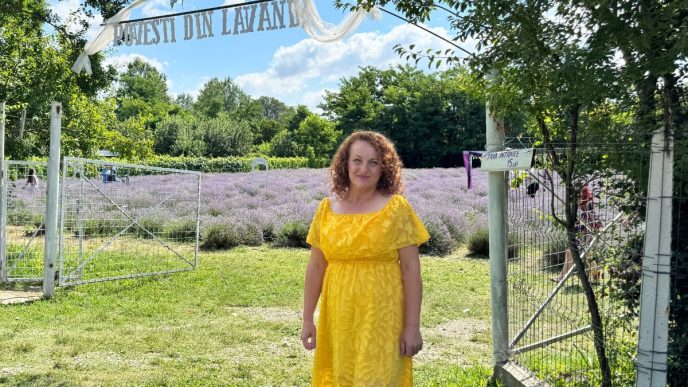 Povești din lavandă, lan de lavandă, poze cu lavandă, Moara Domnească, Prahova, Marina Buhuș, afacere de familie