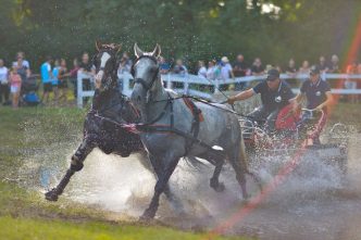 invitații, Karpatia Horse Show 2025, giveaway, Domeniul Cantacuzino, Florești, cover
