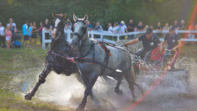 invitații, Karpatia Horse Show 2025, giveaway, Domeniul Cantacuzino, Florești, cover