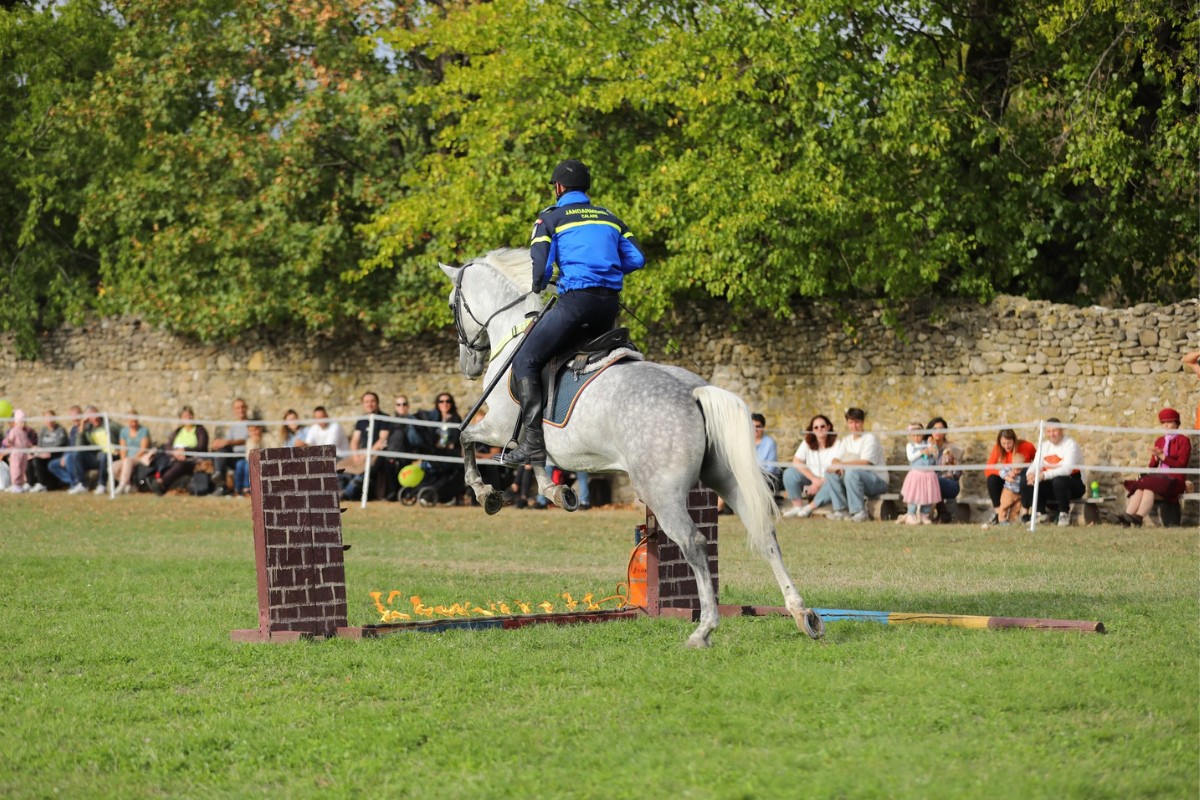 Recorduri doborâte la cea de-a zecea ediție a Karpatia Horse Show 2025 25