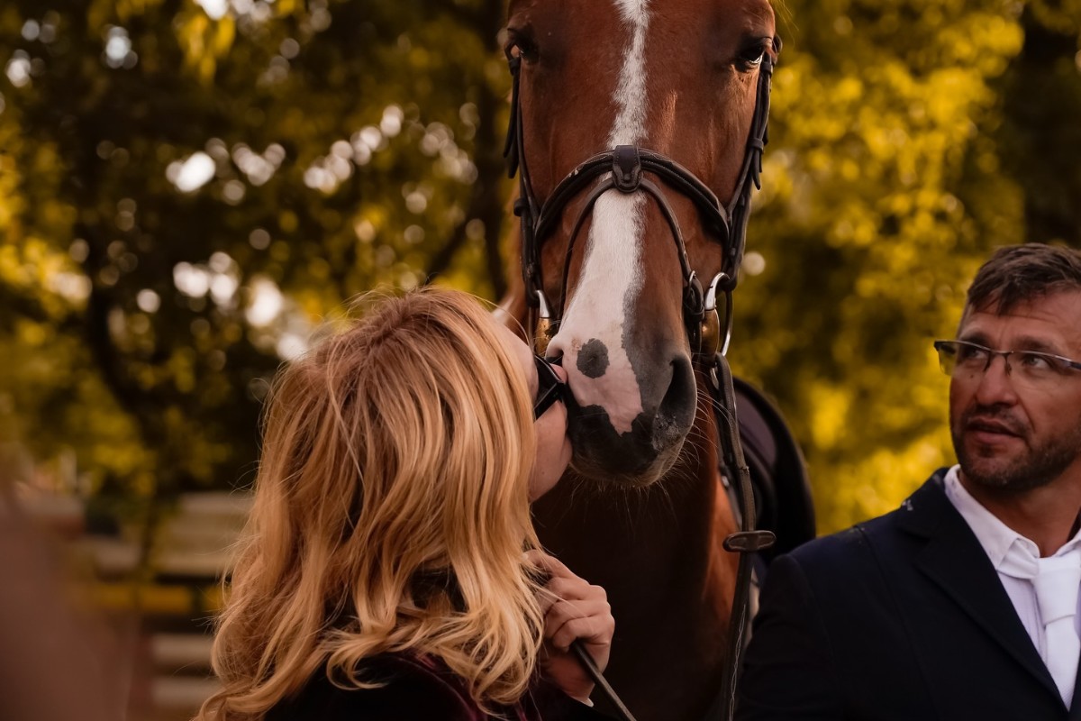 Recorduri doborâte la cea de-a zecea ediție a Karpatia Horse Show 2025 29