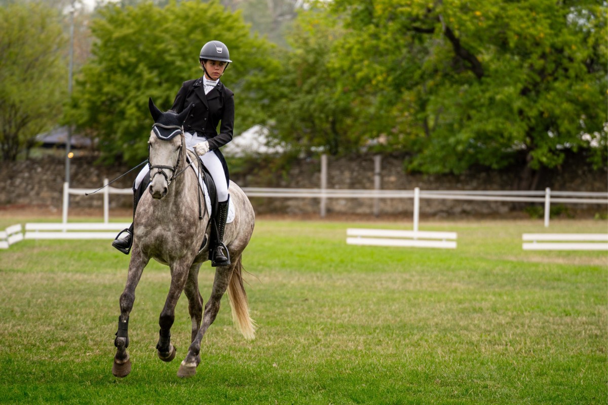 Recorduri doborâte la cea de-a zecea ediție a Karpatia Horse Show 2025 35