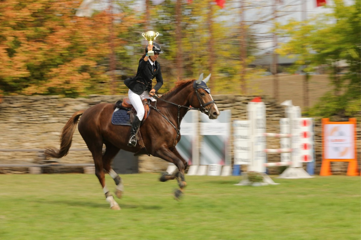 Recorduri doborâte la cea de-a zecea ediție a Karpatia Horse Show 2025 6
