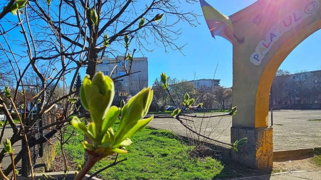 mesaj anonim, spune pe bune, recunoștință, elevă, 16 ani, Ploiești, Palatul Copiilor, Alin Nicodim, grup muzică ușoară, canto