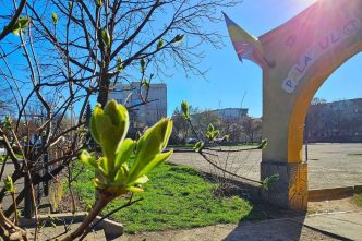 mesaj anonim, spune pe bune, recunoștință, elevă, 16 ani, Ploiești, Palatul Copiilor, Alin Nicodim, grup muzică ușoară, canto