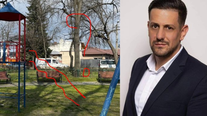 Reacția directorului SGU Ploiești cu privire la Parcul Dorobanți: “Haideți, împreună, să diminuăm cauzele acestor distrugeri” 6 reacție, SGU Ploiești, Parcul Dorobanți, Dragoș Măchițescu, tobogan, reacții ploieșteni, video Parc Dorobanți, cover