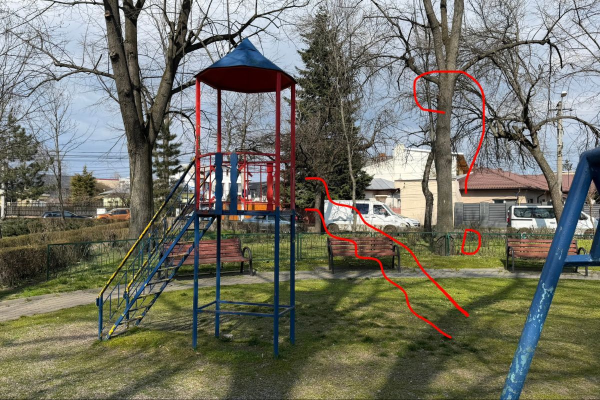 Reacția directorului SGU Ploiești cu privire la Parcul Dorobanți: “Haideți, împreună, să diminuăm cauzele acestor distrugeri” 4