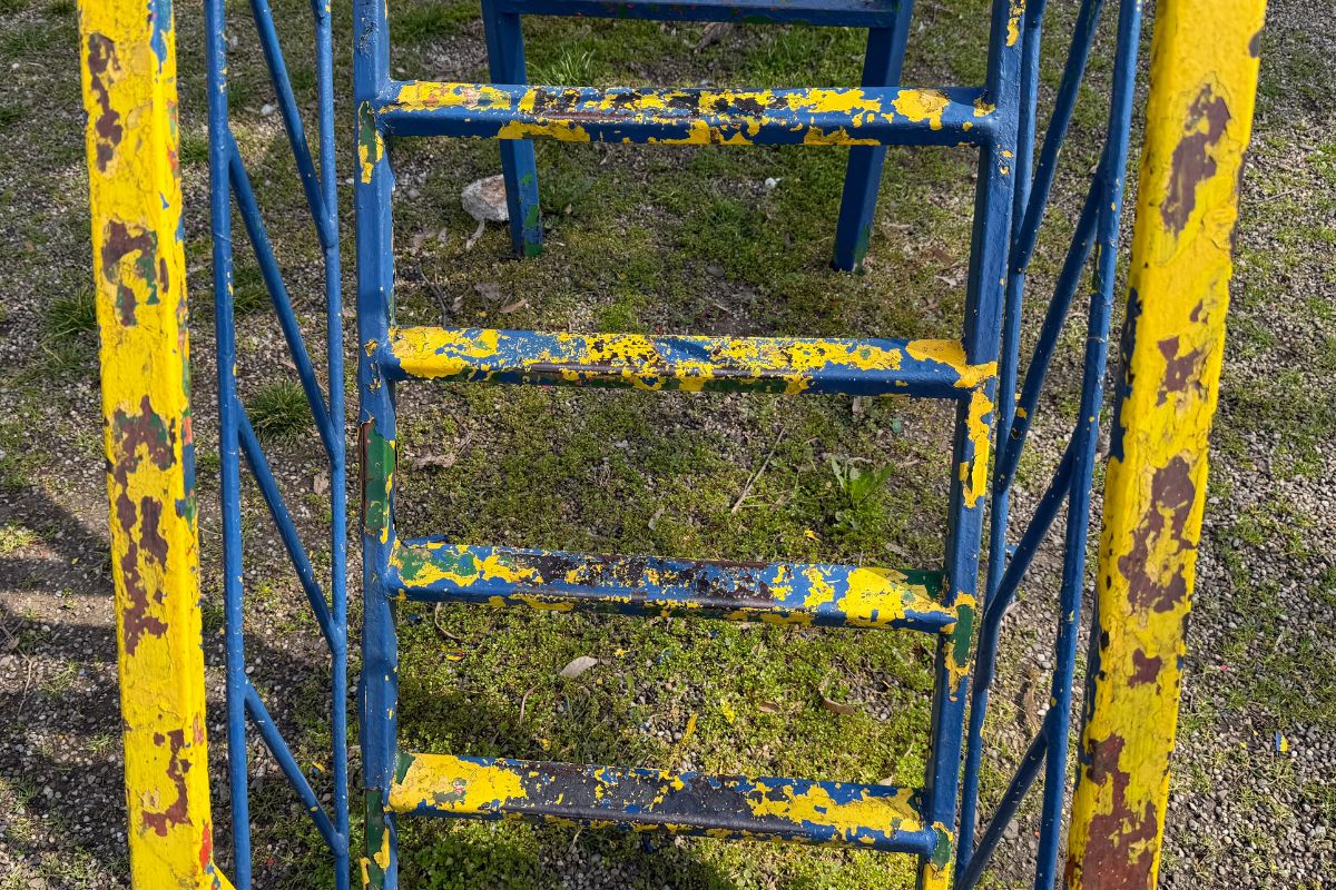 Reacția directorului SGU Ploiești cu privire la Parcul Dorobanți: “Haideți, împreună, să diminuăm cauzele acestor distrugeri” 3