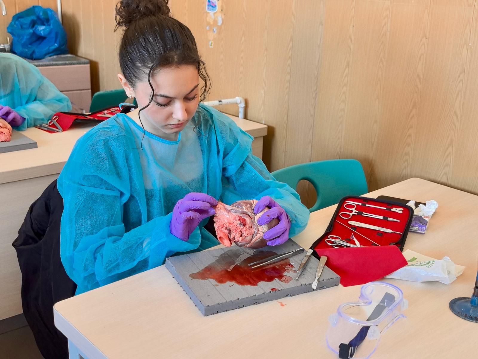 Nexus Science Fair 2026 aduce experimente fascinante și provocări STEM la Colegiul Național “Nicolae Grigorescu” din Câpina 9 Nexus Science Fair 2026 aduce experimente fascinante și provocări STEM la Colegiul Național “Nicolae Grigorescu” din Câpina 7