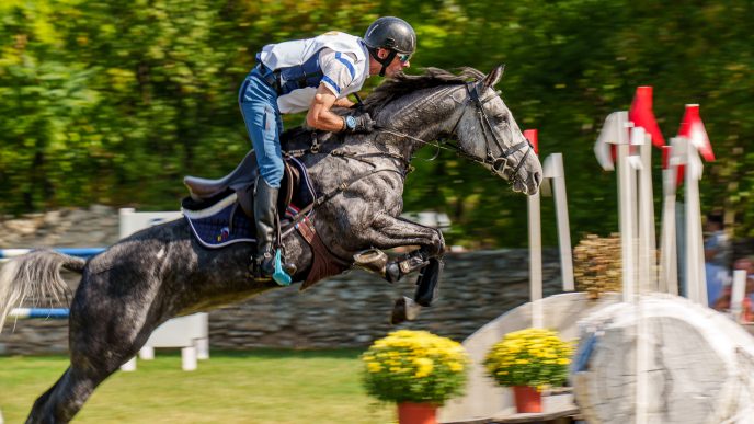 Generația lui John te trimite la Karpatia Horse Show 2026. Răspunde la întrebarea din articol și poți primi una dintre cele 4 invitații duble 7 Patru invitații pentru 2 adulți și 2 copii, valabile toate cele trei zile de festival, 25-27 septembrie 2026.